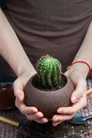 Shot of young woman holding a cactus potted plant in greenhouse. Beautiful gardener holding a potted cactusの写真素材