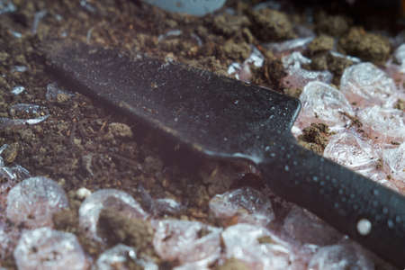 Little shovel Tool kit for indoor plants on ground, on a oilcloth background.の写真素材