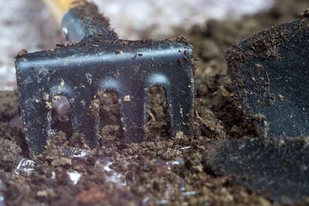 Tool kit for indoor plants on ground, on a oilcloth background.の写真素材