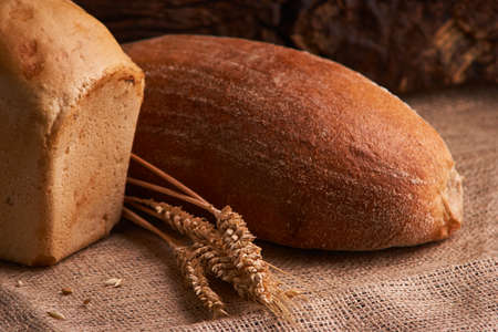 Bakery - gold rustic crusty loaves of bread and buns on black chalkboard background