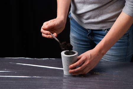 woman planting succulent in concrete pot. Ecology concept