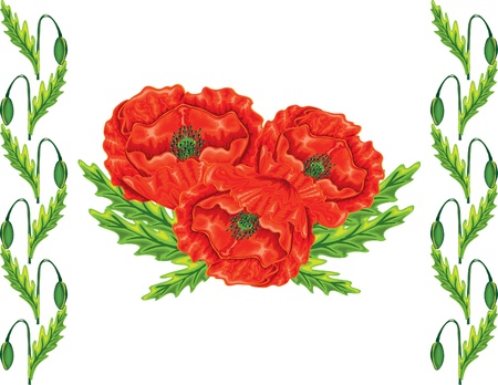 red poppy summer flowers elemeny for designのイラスト素材