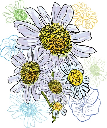 Chamomile bouquet watercolor with outline backgroundのイラスト素材