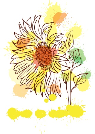 outline watercolor sunflowerのイラスト素材