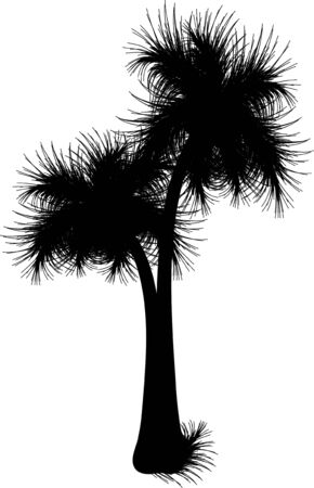 palm tree black silhouetteのイラスト素材