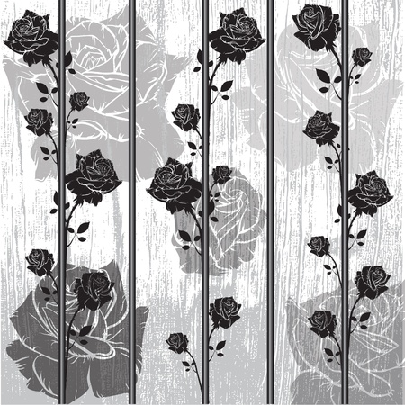 graphic black roses wall designのイラスト素材