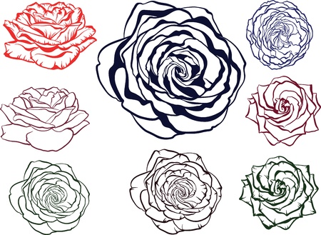 outline rose flowersのイラスト素材