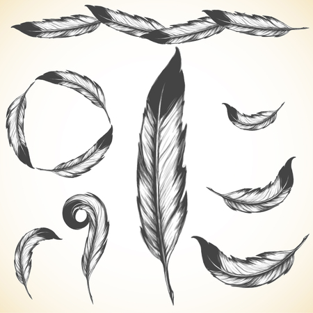 native american symbol: airy bird featherのイラスト素材