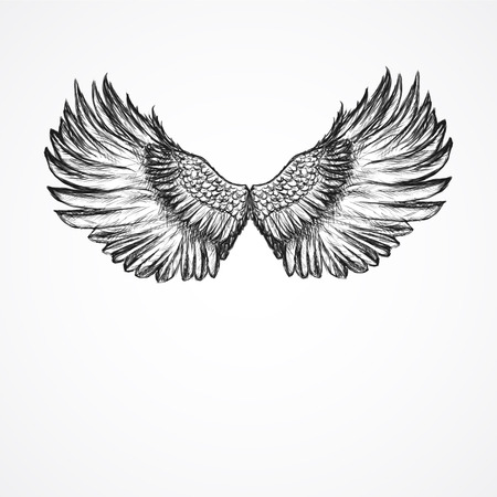 hand drawn artistic wings