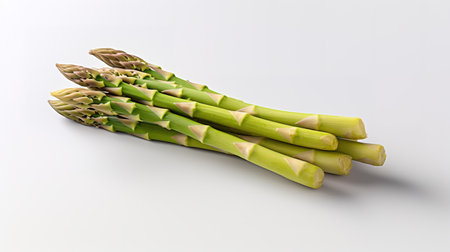 Fresh green asparagus on a white background with copy space.の素材