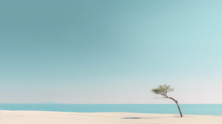 Lonely tree on the beach with blue sky background. Copy space.の素材
