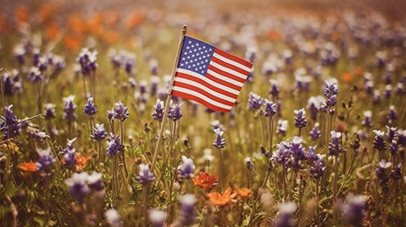 American flag and flowers in the field. United States of America.の素材