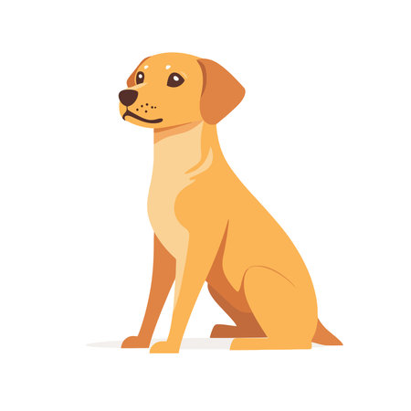 Cute yellow labrador retriever dog sitting on white background vector Illustrationのイラスト素材