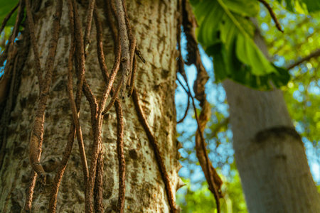 Close up of tree trunk with green leaves and branches, natural background