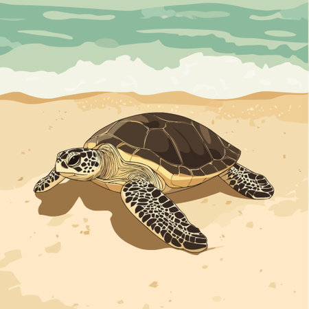 Turtle on the sand on the seashore. Vector illustrationのイラスト素材