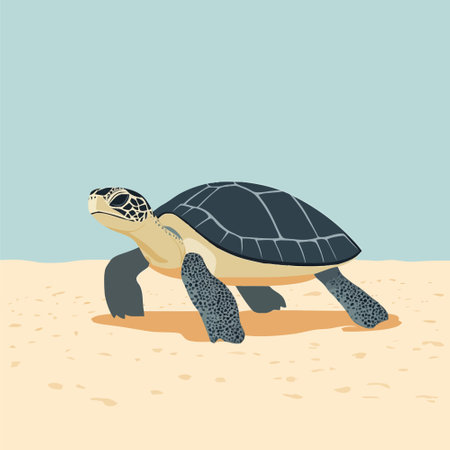 Turtle on the sand. Vector illustration of a tortoise.のイラスト素材