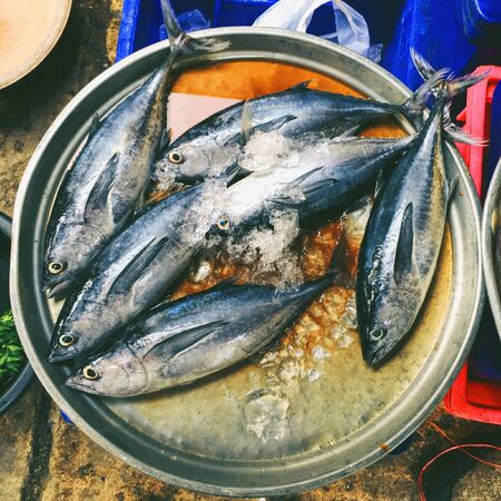 The Tuna in the Market