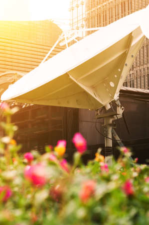 satellite dish antennasの写真素材