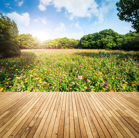 wood textured backgrounds in a room interior on the sky field backgroundsの写真素材