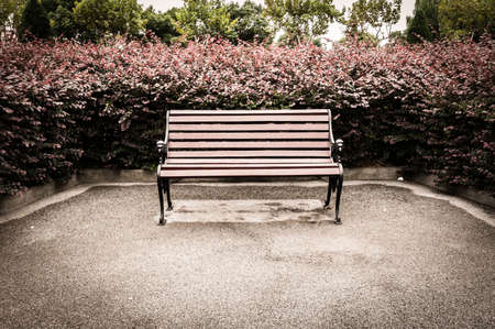 Bench in the spring parkの写真素材