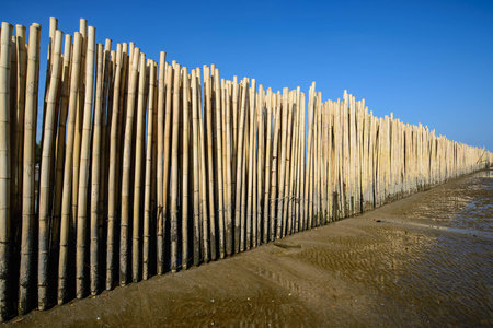 bamboo fence under blue skyの写真素材