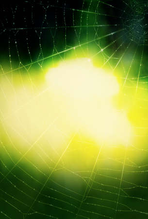 A background with a spiders webの写真素材
