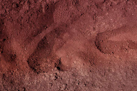 Soil textureの写真素材