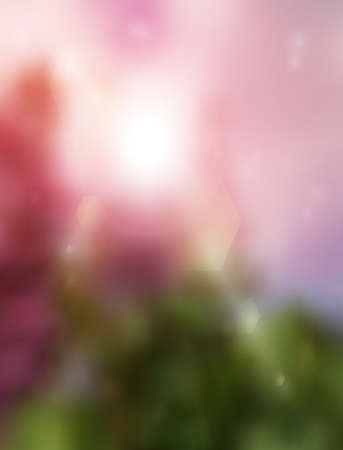 Summertime backgroundのイラスト素材