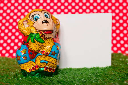 Chocolate monkey in a wrapperの写真素材