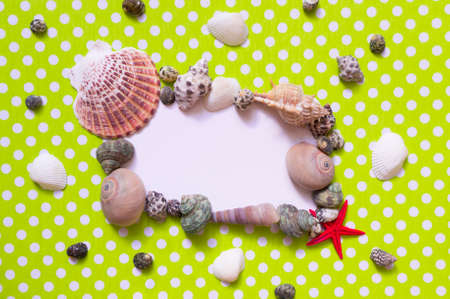 Frame with seashells