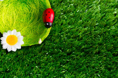 A summer background with a nest, ladybugs, grass.
