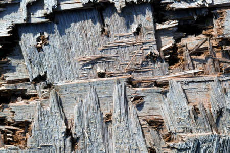 rough wooden backgroundの写真素材