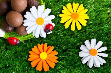 An Easter background with some chocolate easter eggs, flowers, grass.の写真素材