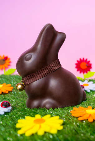 An Easter background with an Easter chocolate bunny, flowers, grass.の写真素材