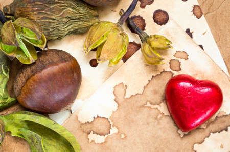 A background with a fresh raw chestnut, a chocolate heart and dried plants and place for your text.の写真素材