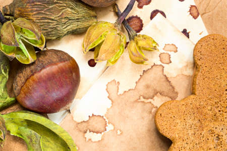 A background with a fresh raw chestnut, a cookie and dried plants and place for your text.の写真素材