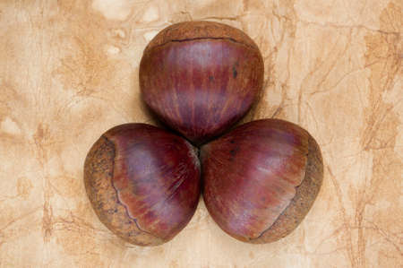 A background with three fresh raw chestnuts on an old piece of paper.の写真素材