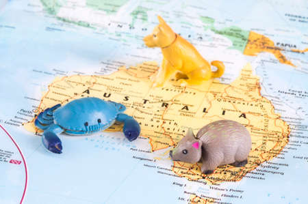 A photo of toy Australian animals on the map.の写真素材