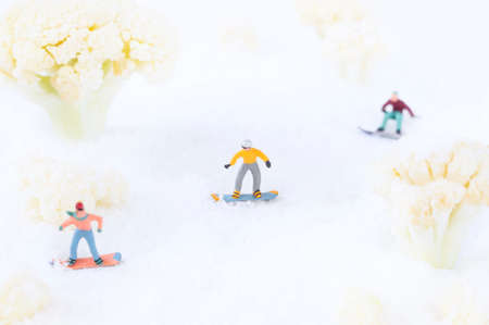 A photo of snowboarding people among the cauliflowers, which look like trees in snow.の写真素材