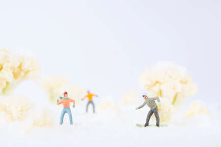 A photo of snowboarding people among the cauliflowers, which look like trees in snow.の写真素材