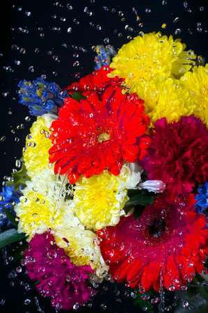 A photo of a bunch of colorful flowers against a black background. Selective focus.の写真素材
