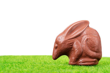 Chocolate Easter bilby against a white background. Australian Easter concept.