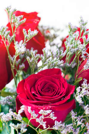 A bouquet of beautiful red roses. Selective focusの写真素材