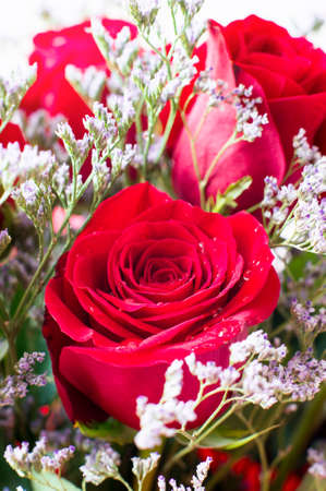 A bouquet of beautiful red roses. Selective focusの写真素材