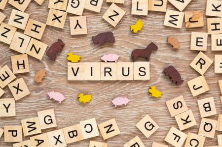 The word "Virus" spelt out with letter tiles on the wooden backgroundの写真素材