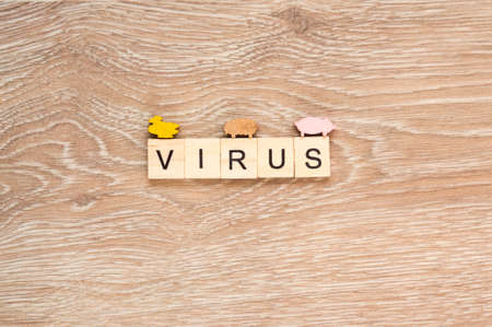 The word "Virus" spelt out with letter tiles on the wooden backgroundの写真素材