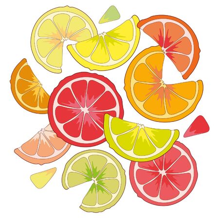 A fruity pattern with a juicy slice of grapefruit , orange, lemon, lime.のイラスト素材