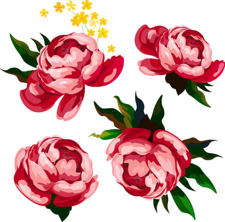 Vectorのイラスト素材