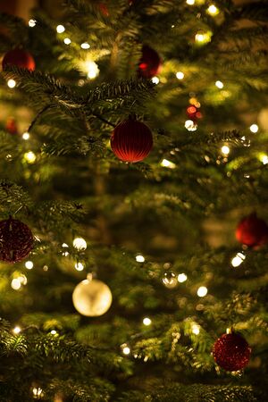 Christmas bauble is hanging on the treeの写真素材