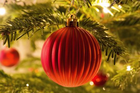Christmas bauble is hanging on the treeの写真素材
